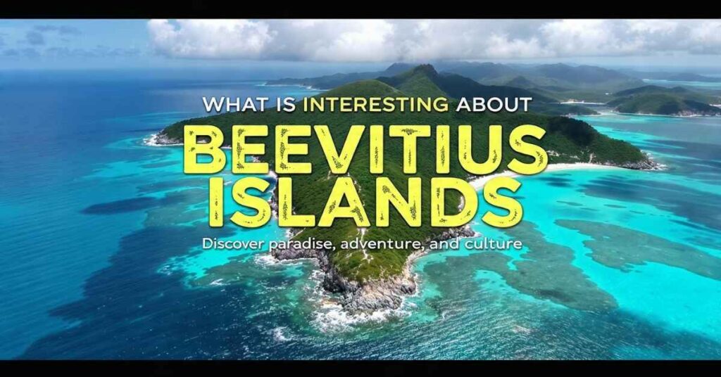 What Is Interesting About Beevitius Islands
