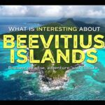 What Is Interesting About Beevitius Islands